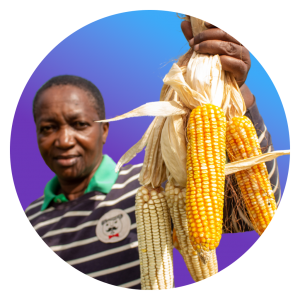 Farmer with maize