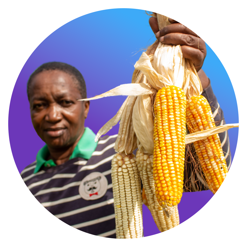 Farmer with maize